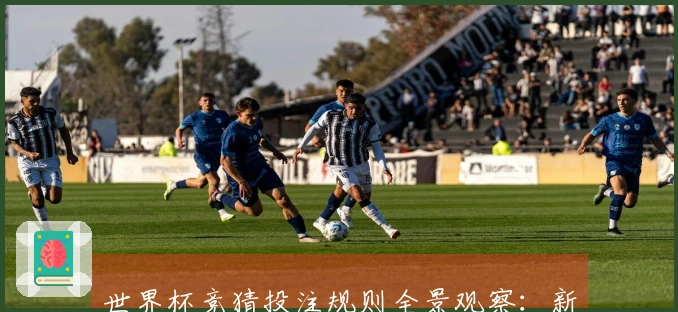 世界杯竞猜投注规则全景观察：新手必知的关键事项与玩法解析