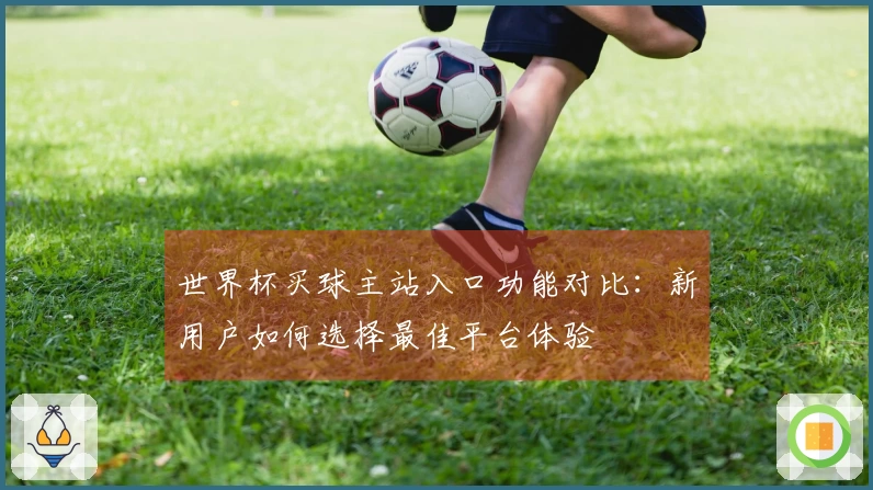 世界杯买球主站入口功能对比：新用户如何选择最佳平台体验