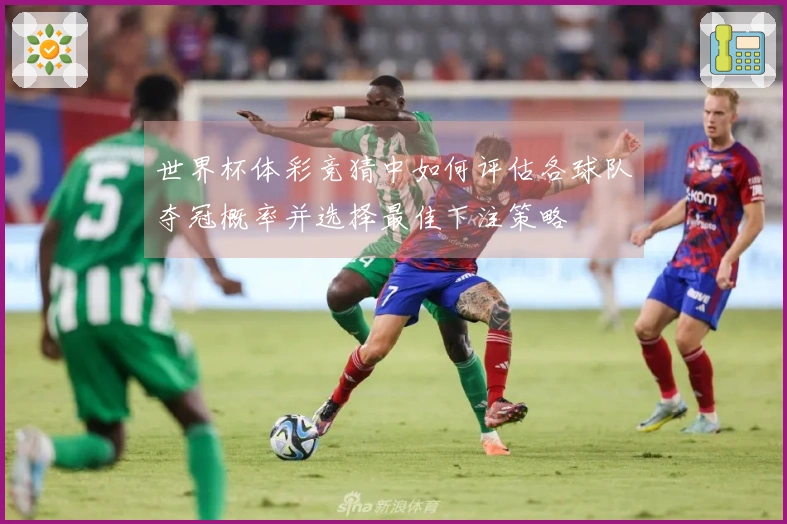 世界杯体彩竞猜中如何评估各球队夺冠概率并选择最佳下注策略