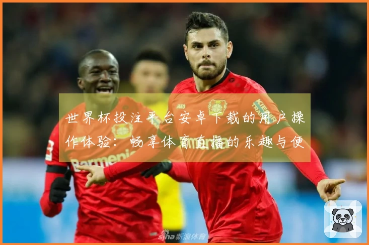 世界杯投注平台安卓下载的用户操作体验：畅享体育直播的乐趣与便捷