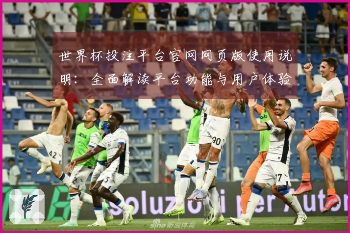 世界杯投注平台官网网页版使用说明：全面解读平台功能与用户体验