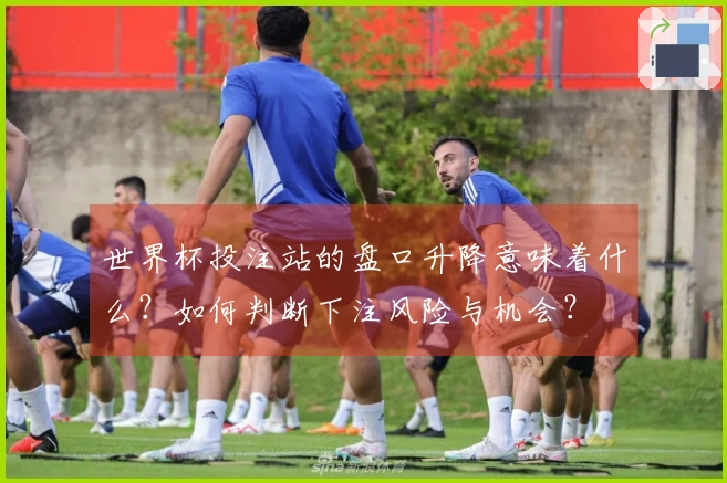 世界杯投注站的盘口升降意味着什么？如何判断下注风险与机会？