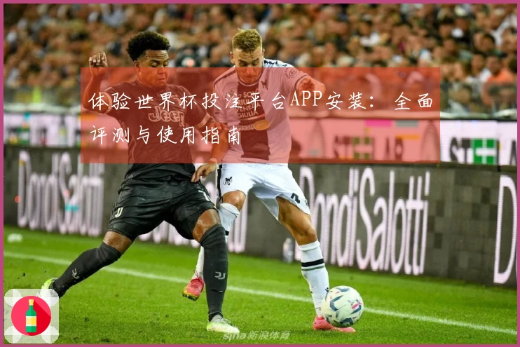 体验世界杯投注平台APP安装：全面评测与使用指南