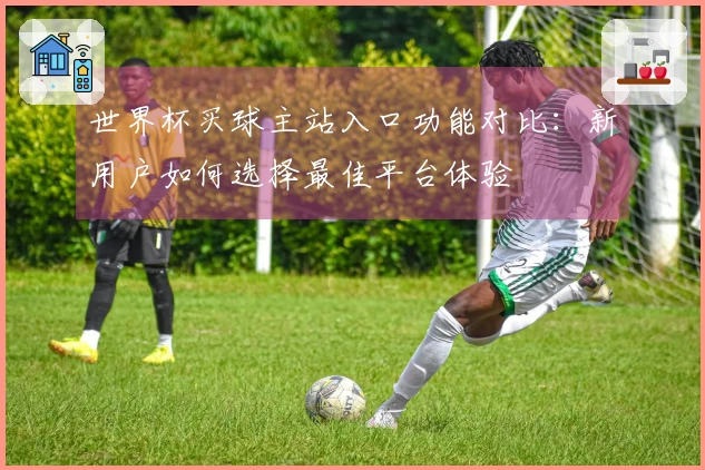 世界杯买球主站入口功能对比：新用户如何选择最佳平台体验