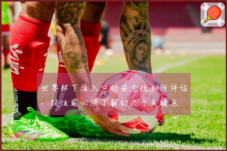 世界杯下注入口的安全性如何评估，投注前必须了解的几个关键点