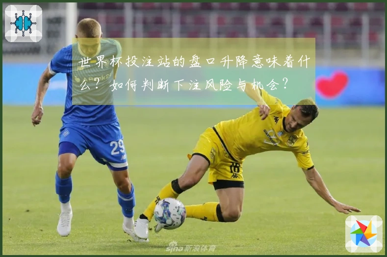 世界杯投注站的盘口升降意味着什么？如何判断下注风险与机会？