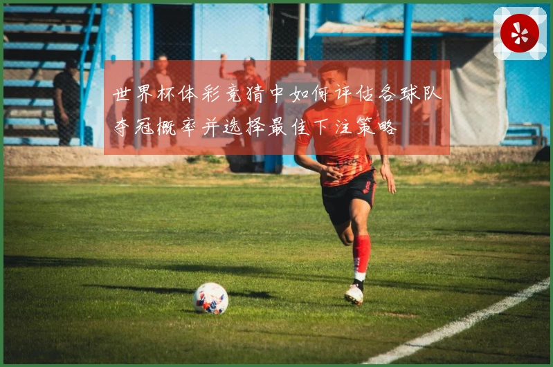 世界杯体彩竞猜中如何评估各球队夺冠概率并选择最佳下注策略