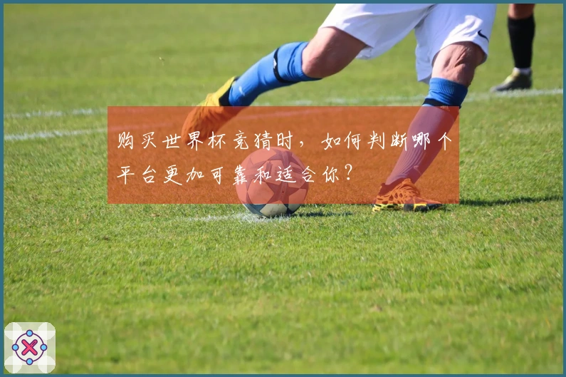 购买世界杯竞猜时，如何判断哪个平台更加可靠和适合你？